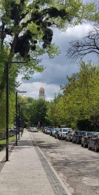 Прикрепленное изображение: IMG_20230510_134101.jpg